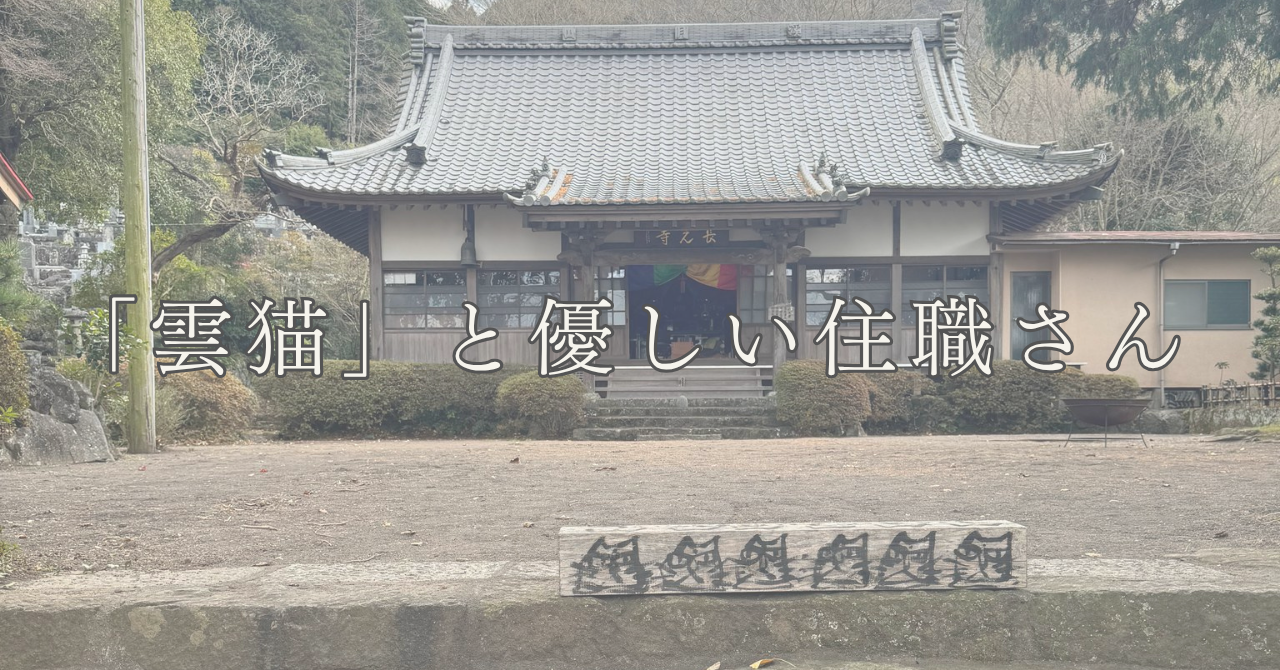 函南・長光寺|猫の修行僧「雲猫」と穏やかな住職さんに癒されるお寺